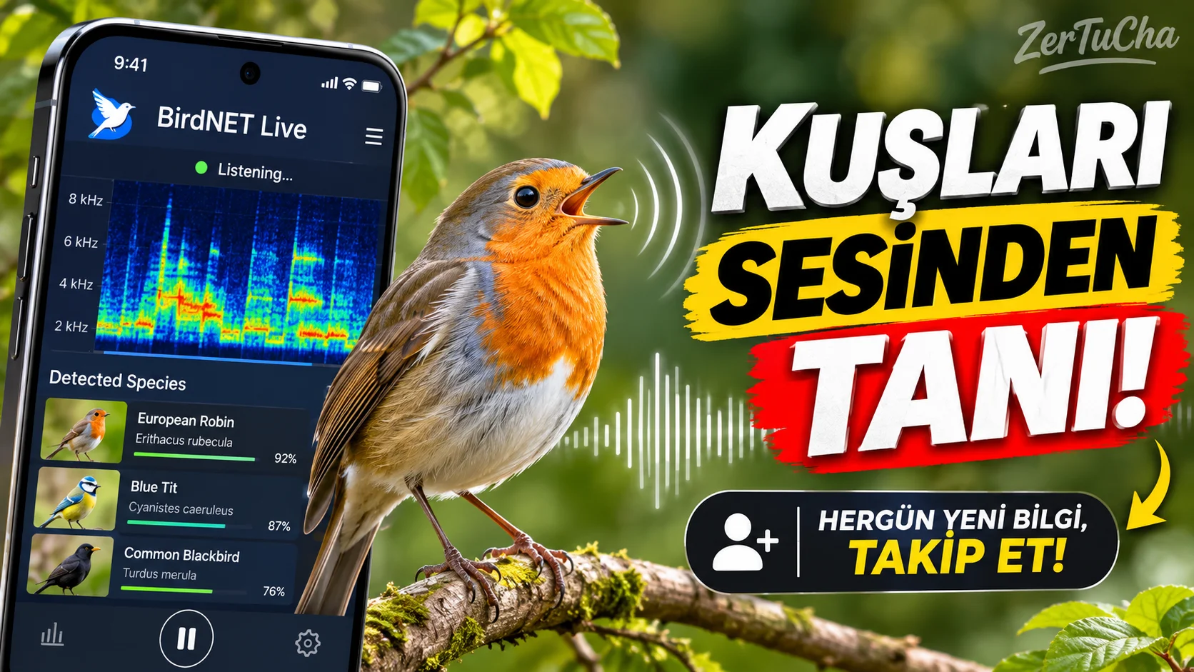 Bir Kuş Ötüyor Ama Hangisi Bilmiyor musunuz? Telefonunuzla Sesinden Tanıyın