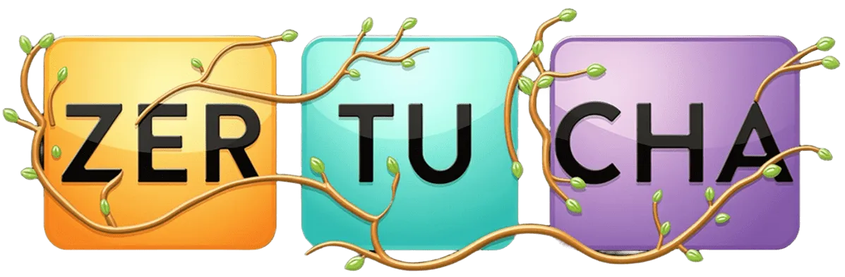 Zertucha | Creative Studio | SEO, Web Tasarım, Dijital Pazarlama Ajansı, Google Ads