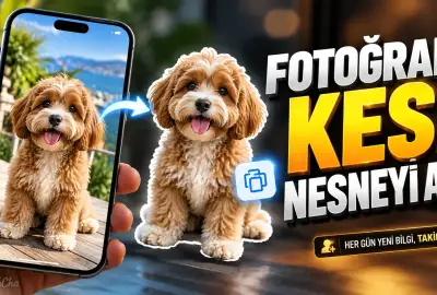 Separate the object in the photo from its background on iPhone and send it alone!