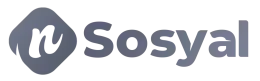 Sosyal Panel